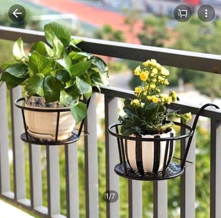 Giỏ treo châu hoa, cây cảnh ban công
