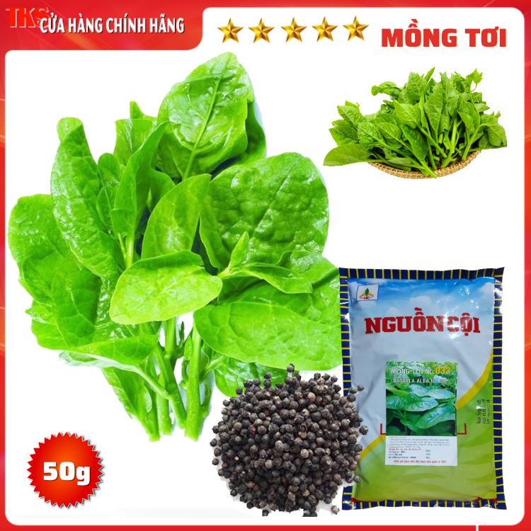 50g hạt giống rau mồng tơi: lá to, giòn ngọt, dễ trồng