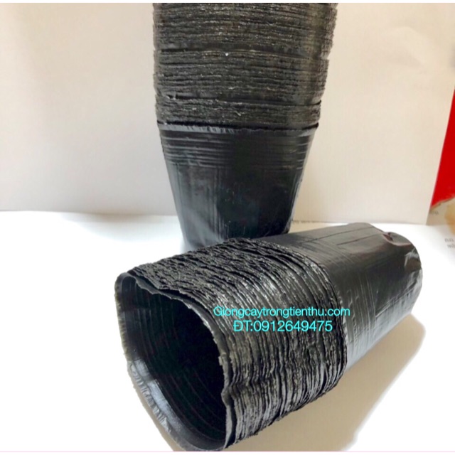 TÚI BẦU ƯƠM CÂY GIỐNG (8x8cm) 1kg