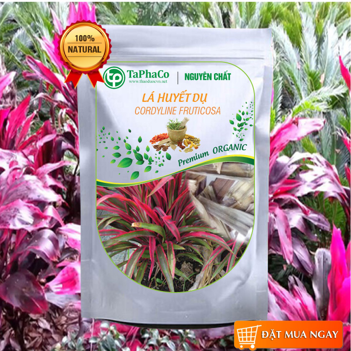 Cây huyết dụ khô 500g - tấn phát