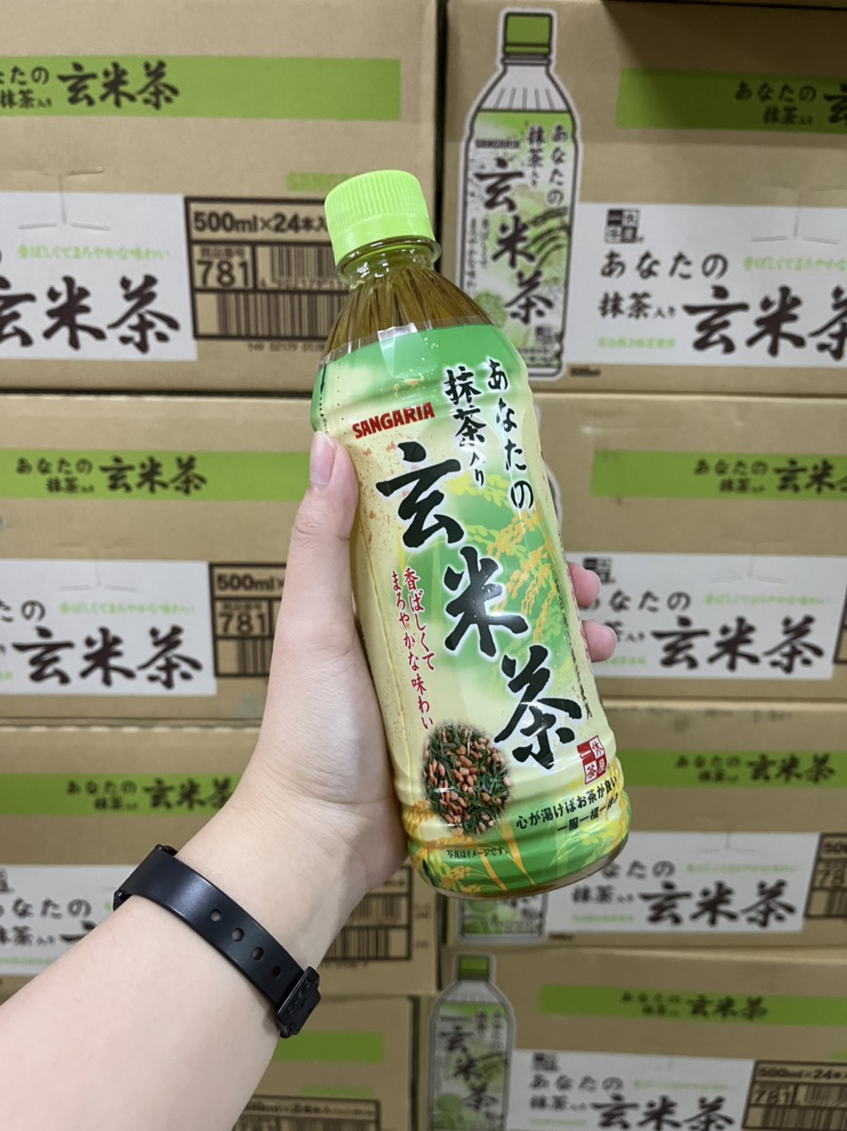 Trà gạo lứt Matcha Sangaria 500ml - Thùng 24 chai