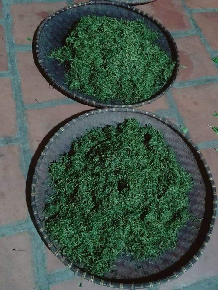 Trà bắc thái nguyên -200gr