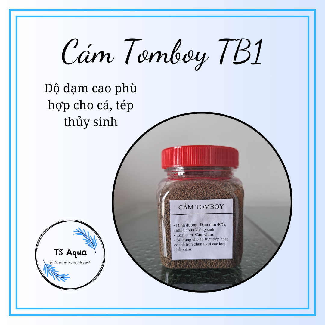 100g cám tôm tomboy tb1 độ đạm cao - ts aqua