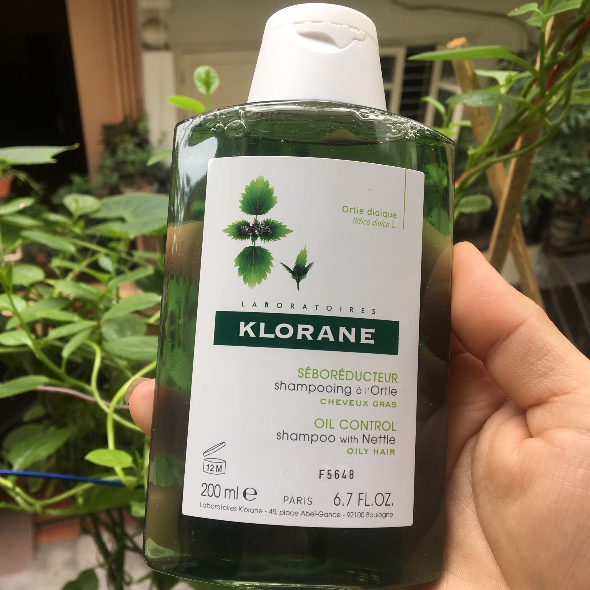 GỘI KLORANE KIỀM DẦU CHIẾT XUẤT CÂY TẦM MA 200ML