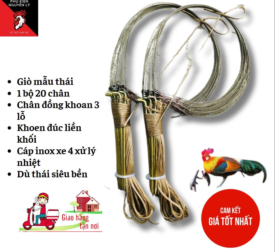 Giò thái bẫy gà rừng chân đồng khoen đúc liền khổi