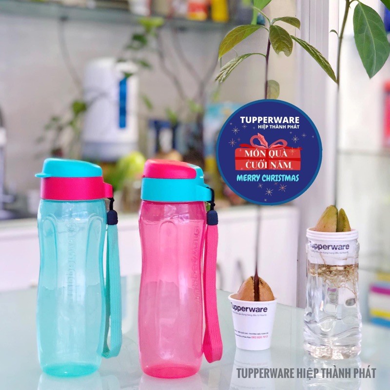 Bình nước eco gen ii 500ml giảm sốc
