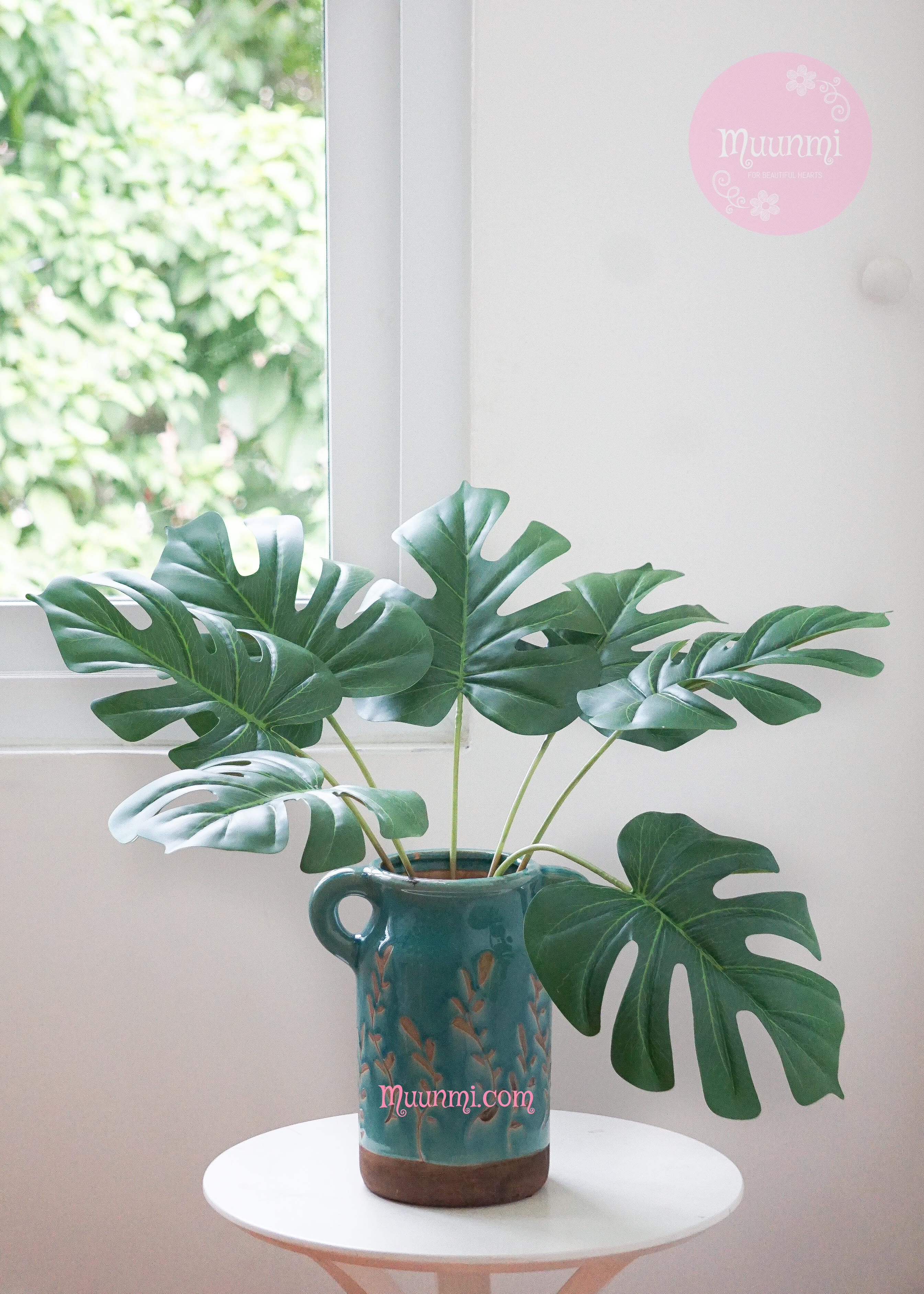 Lá điểm 🌿 | Lá trầu bà rất đẹp trang trí không gian xanh mát và thư giãn