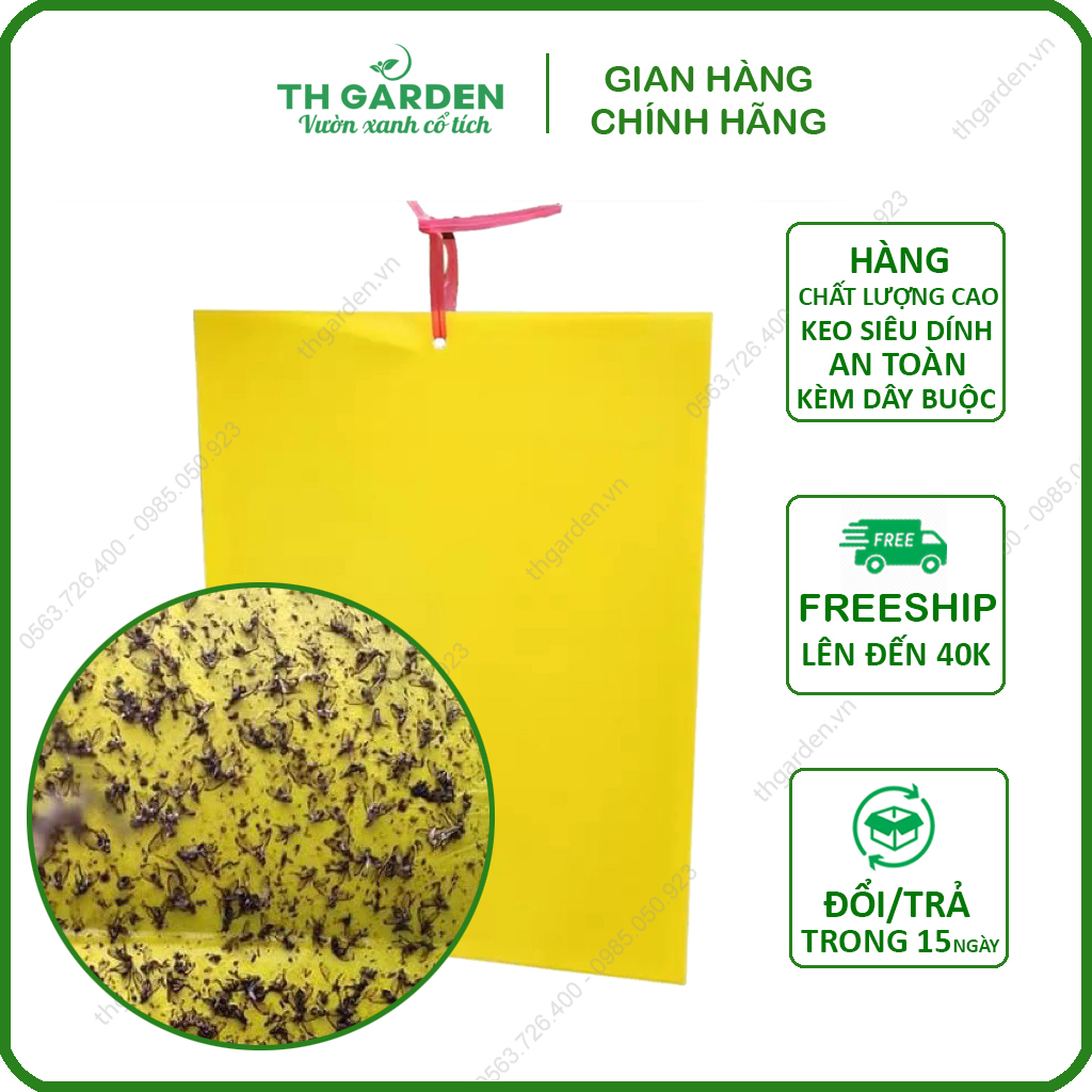 Miếng Dán Siêu Dính Ruồi Vàng - Bẫy Ruồi Vàng Và Các Loại Côn Trùng Gây Hại Cây Lan, Hoa Màu, Cây Ăn Trái