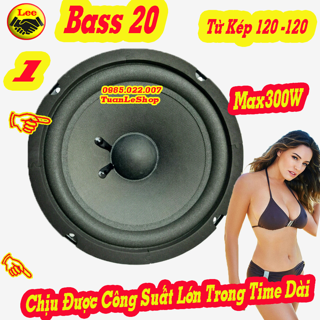 LOA BASS 20 TỪ KÉP 120 -120 – GIÁ 01 CỦ LOA
