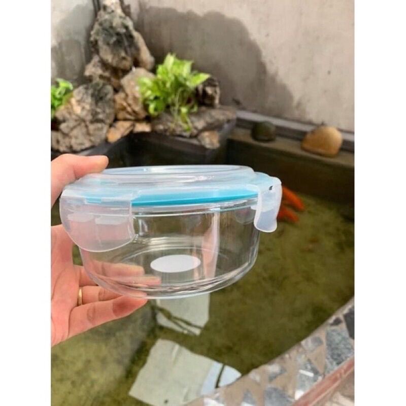 Bộ 2 thố thuỷ tinh 620ml viền xanh , có ron chống tràn , thuỷ tinh cao cấp , hộp mang cơm đựng thực phẩm