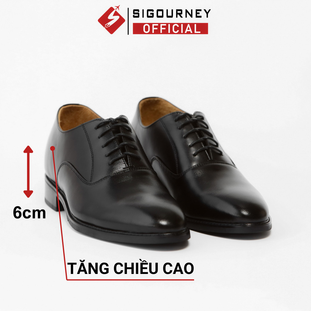 Giày ĐẾ PHÍP Tăng Cao 6cm Dáng Oxfords Cao Cấp SIGOURNEY Da Bò Nhập Khẩu Màu Đen Trơn SCC08 Bảo Hành 18 Tháng