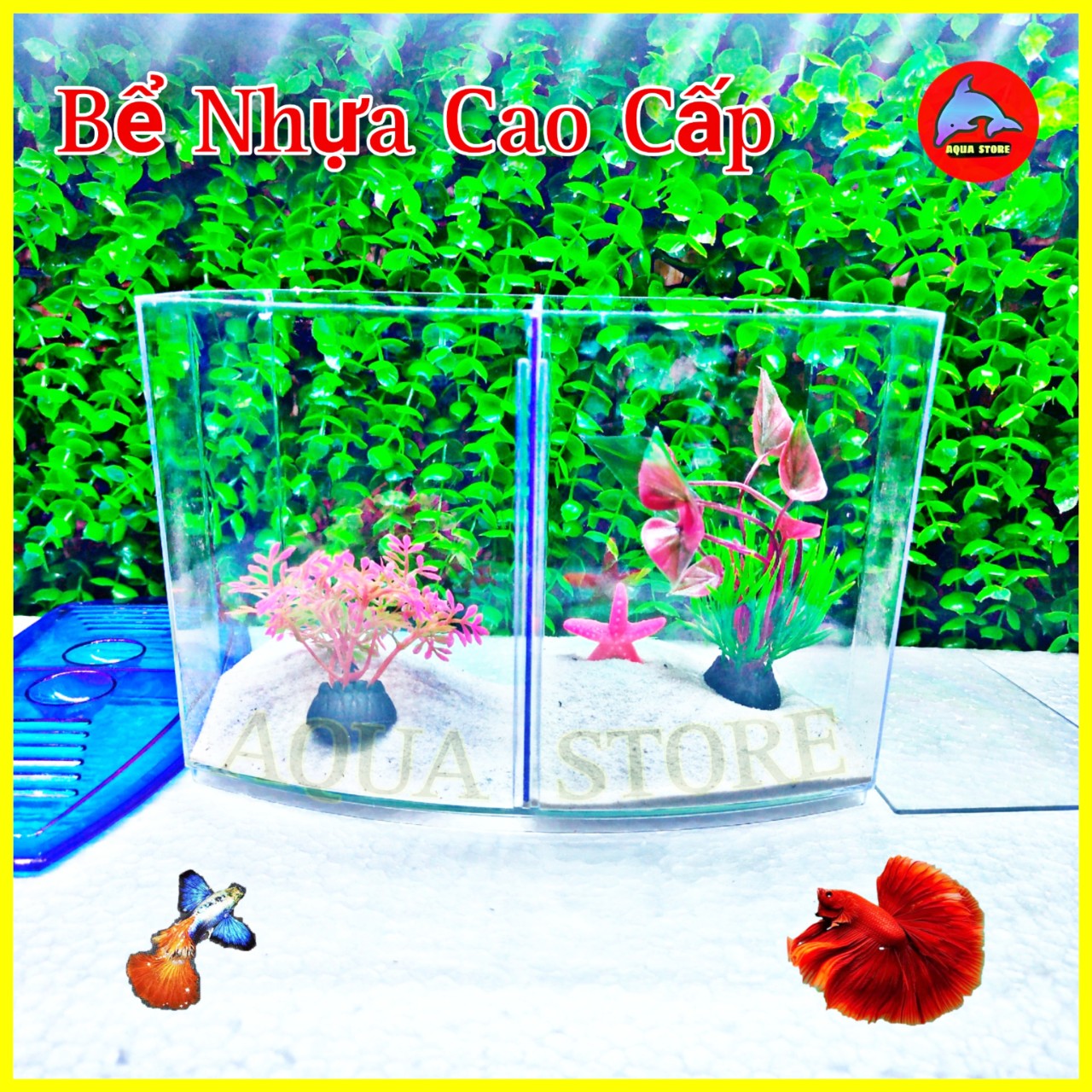 Bể cá betta mini bằng nhựa cao cấp - hồ cá mini để bàn bằng nhựa