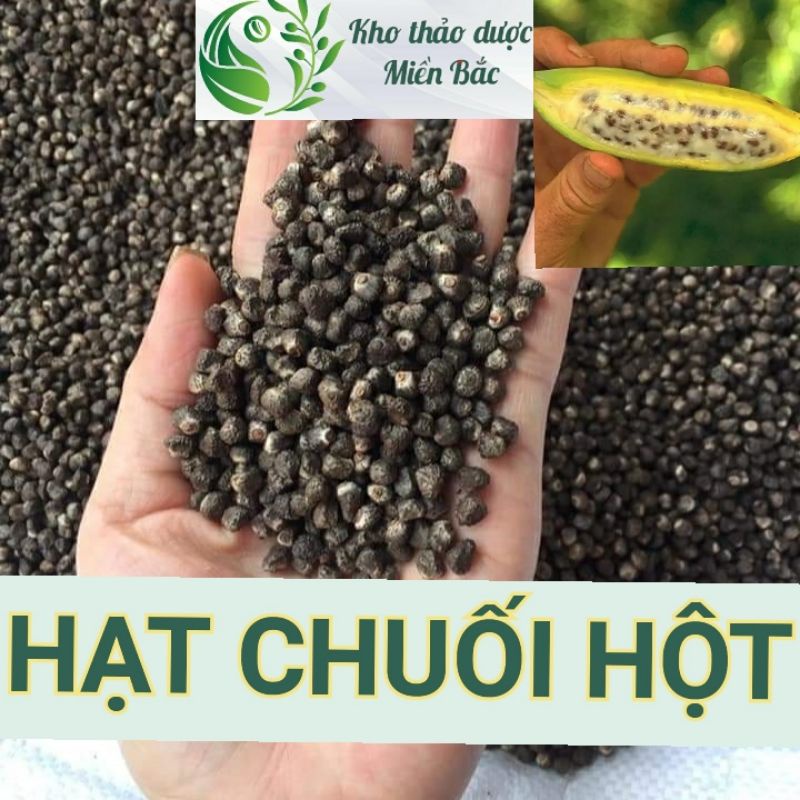 1kg hạt chuối hột rừng tự nhiên nguyên chất - bột chuối hột rừng - hàng mới khô sạch