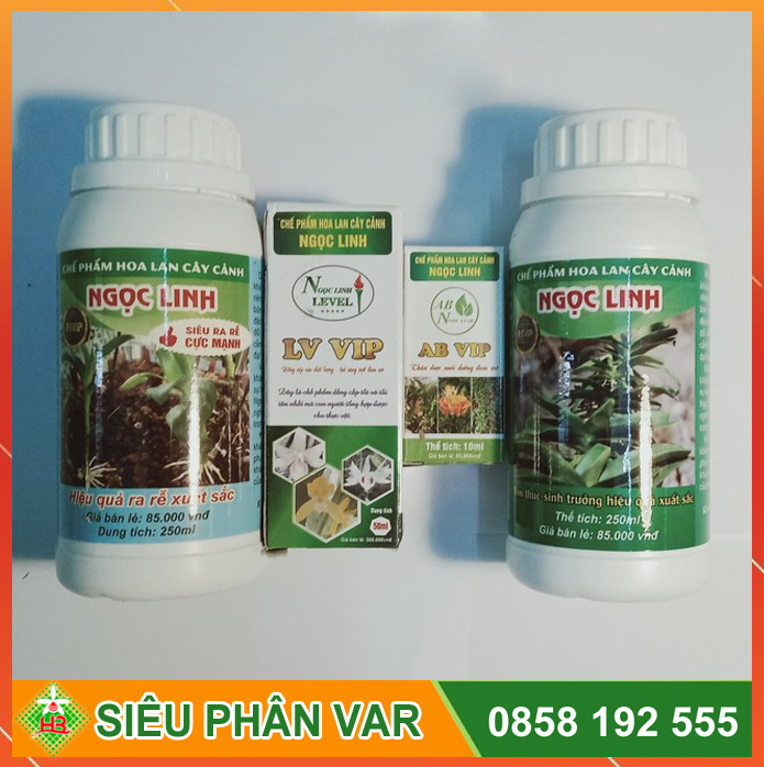 Bộ chăm var Chế Phẩm Ngọc Linh
