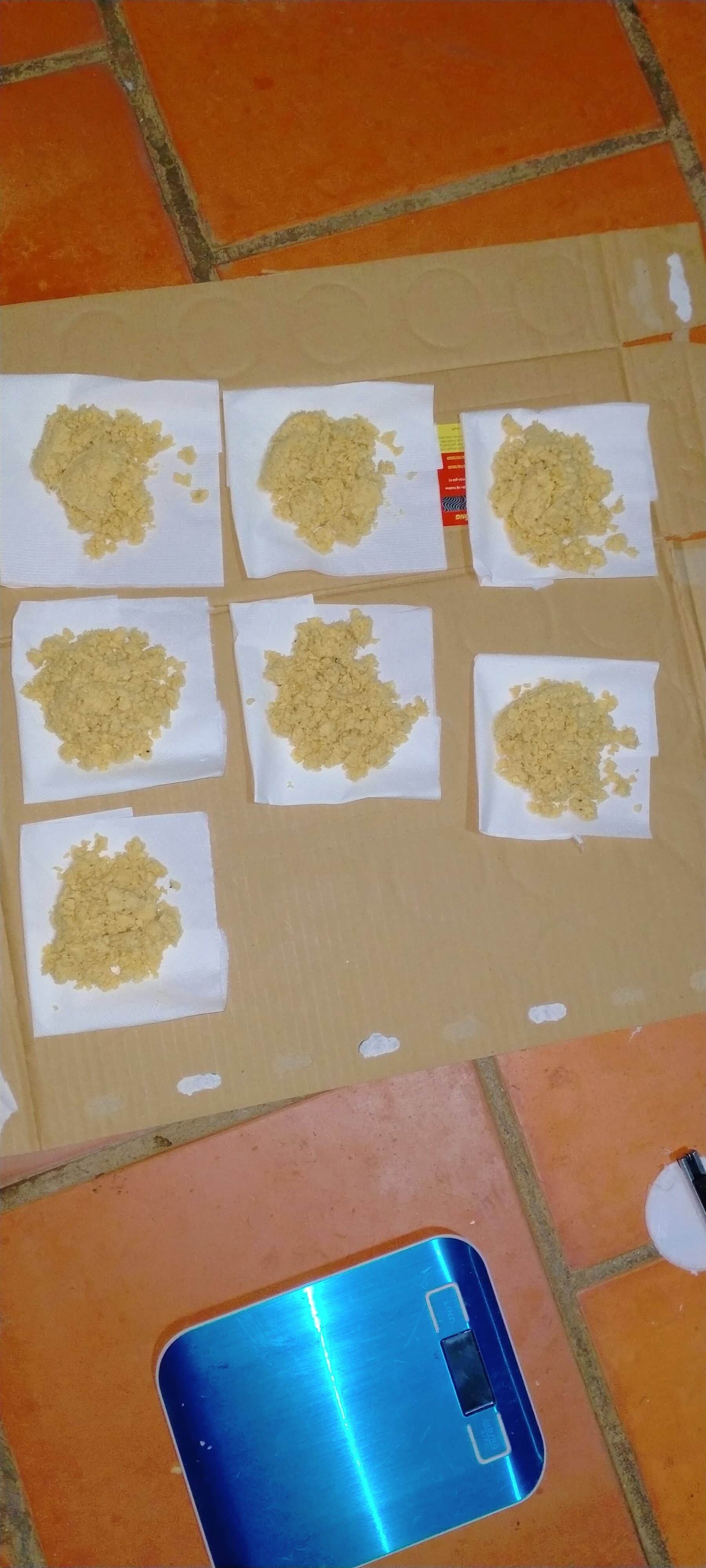 trứng ruồi lính đen(sâu canxi)-10g