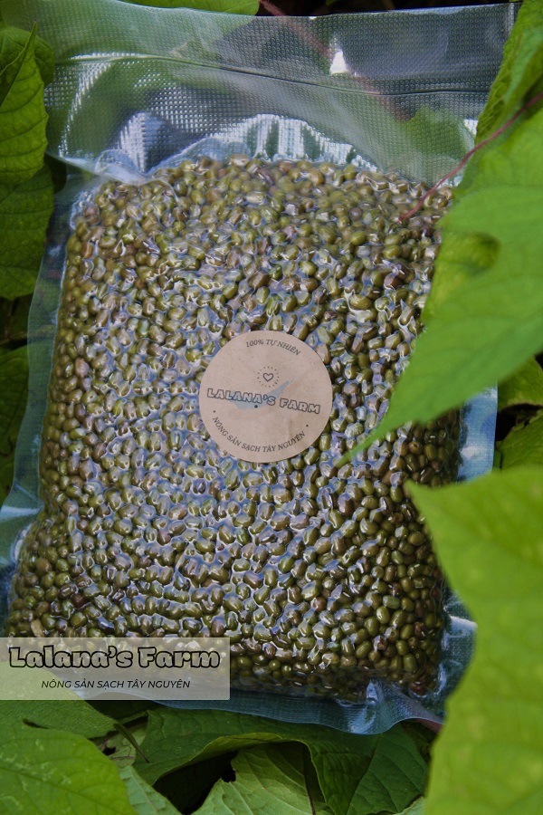 Đậu Xanh Hữu Cơ Giống Thuần Chủng, Đậu Xanh Sạch, Không đột biến Gen - Lalana's Farm