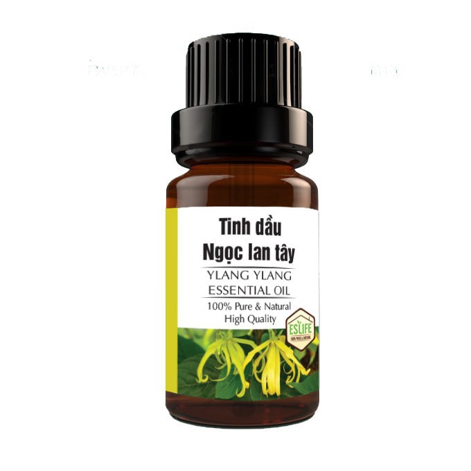 Tinh dầu ngọc lan t&acirc;y 10ml chiết xuất từ thi&ecirc;n nhi&ecirc;n 100% nhập khẩu Ấn Độ - Tinh dầu Sạch Haruki