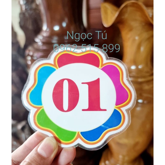 Hoa số báo danh, số tên nhóm gài ngực.