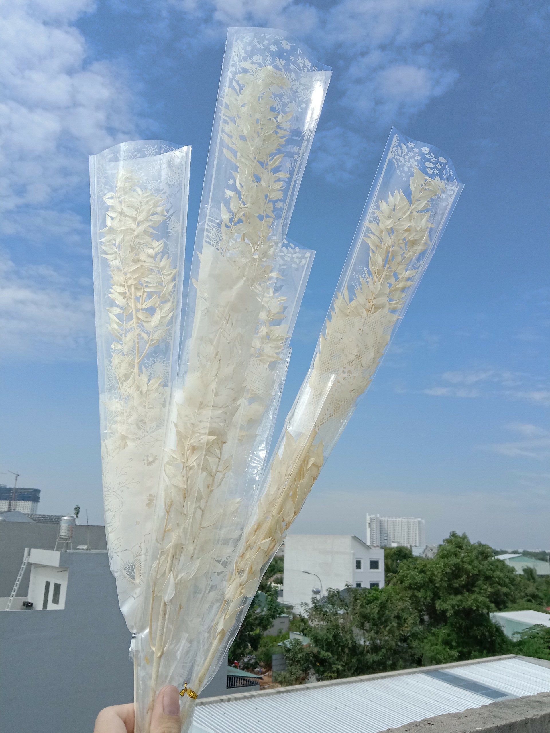 Hoa khô decor - Cành Lá khô - Lá Phú Quý - Lá khô trang trí đời sống