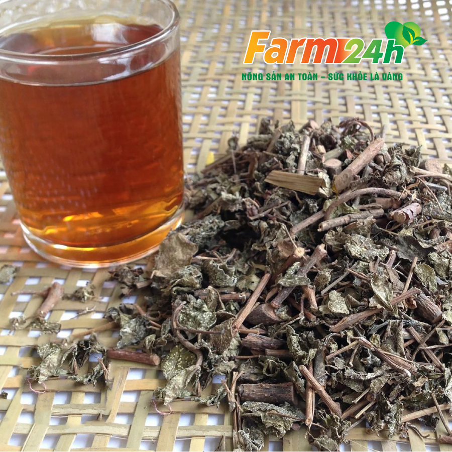 Chè dây Sapa khắc tinh của chứng đau dạ dày, đau bao tử, diệt vi rút HP | Farm24h