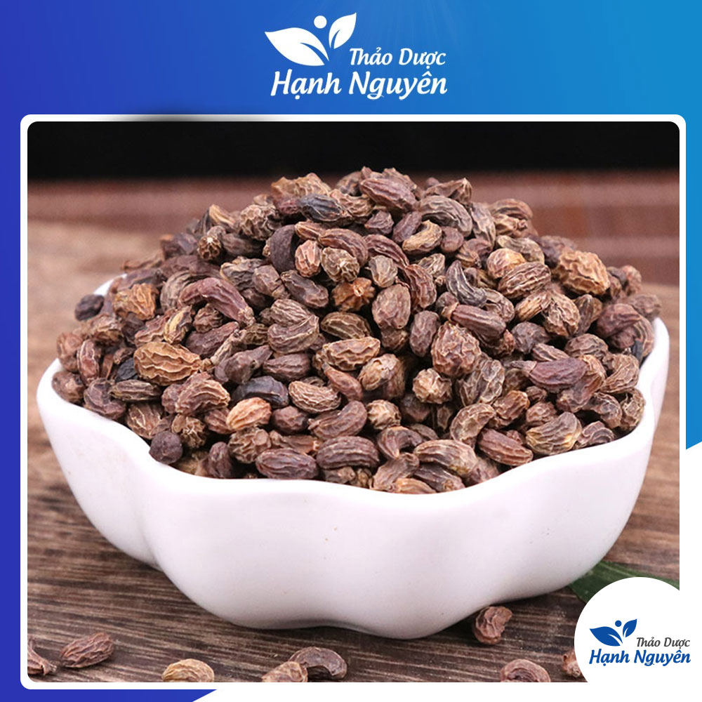 Nữ trinh tử 100g, hạt khô, sạch - Thảo dược hạnh nguyên