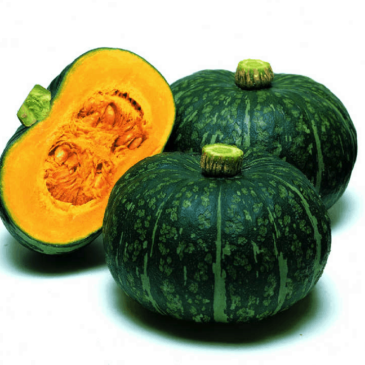 Hạt giống bí bơ Mỹ Kabocha