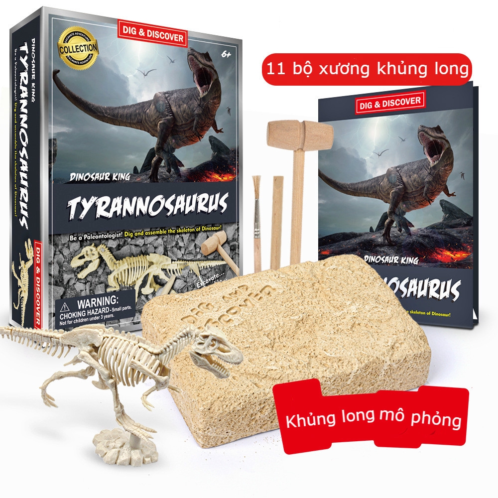 Đồ chơi khai quật khảo cổ học xương khủng long