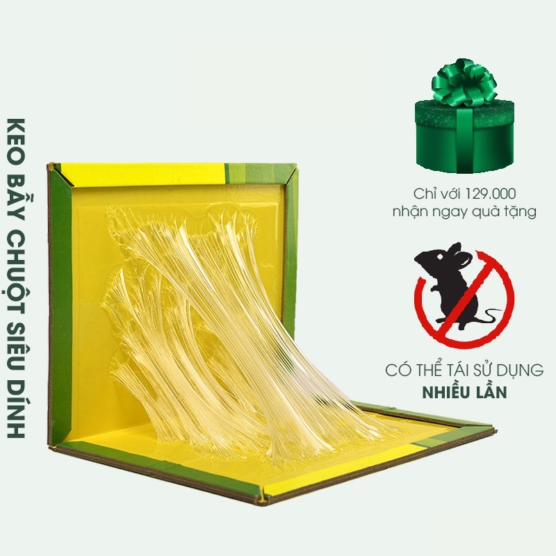 Combo 3 vỉ bẫy chuột siêu dính thần thánh siêu chắc