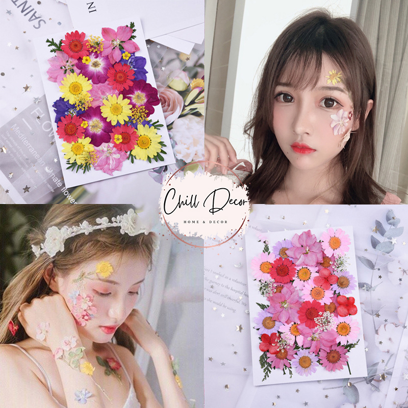Hoa ép khô makeup, hoa khô dán mặt - phụ kiện trang điểm - cosplay, cổ trang - chiu decor