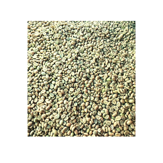 Cà Phê Nhân Sống Robusta Gói 5 kgs , Oriwell Coffee