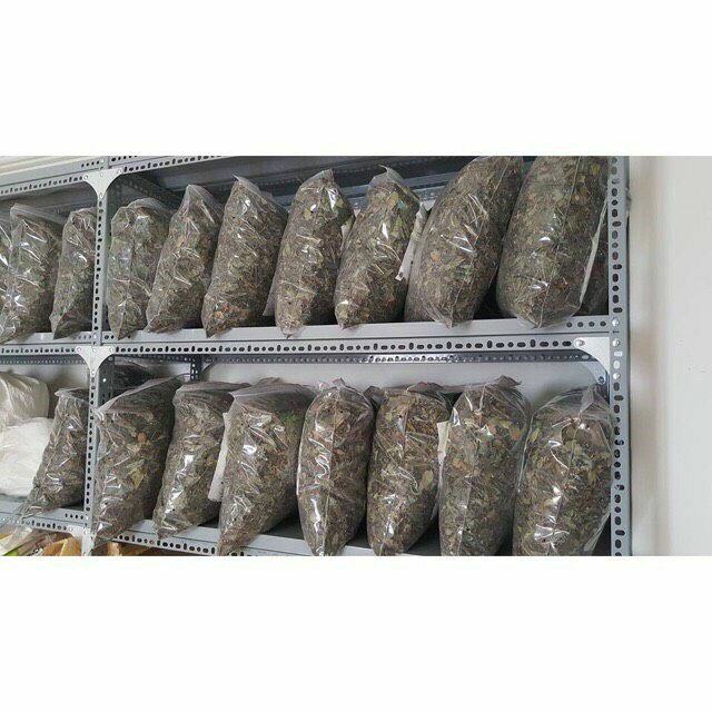Sỉ 2kg lá cấy Hà Thủ Ô hỗ trợ đẹp da mượt tóc chất lượng