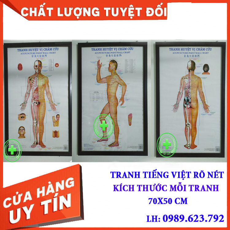 Tranh châm cứu huyệt vị