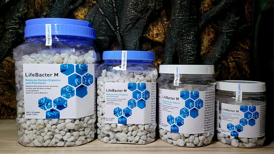 Lifebacter m - vật liệu lọc sinh học size trung hữu dụng nhất