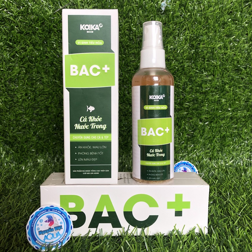 Men Vi Sinh KOIKA BAC+, Men Vi Sinh Tiêu Hoá chuyên dùng cho cá và tép cảnh