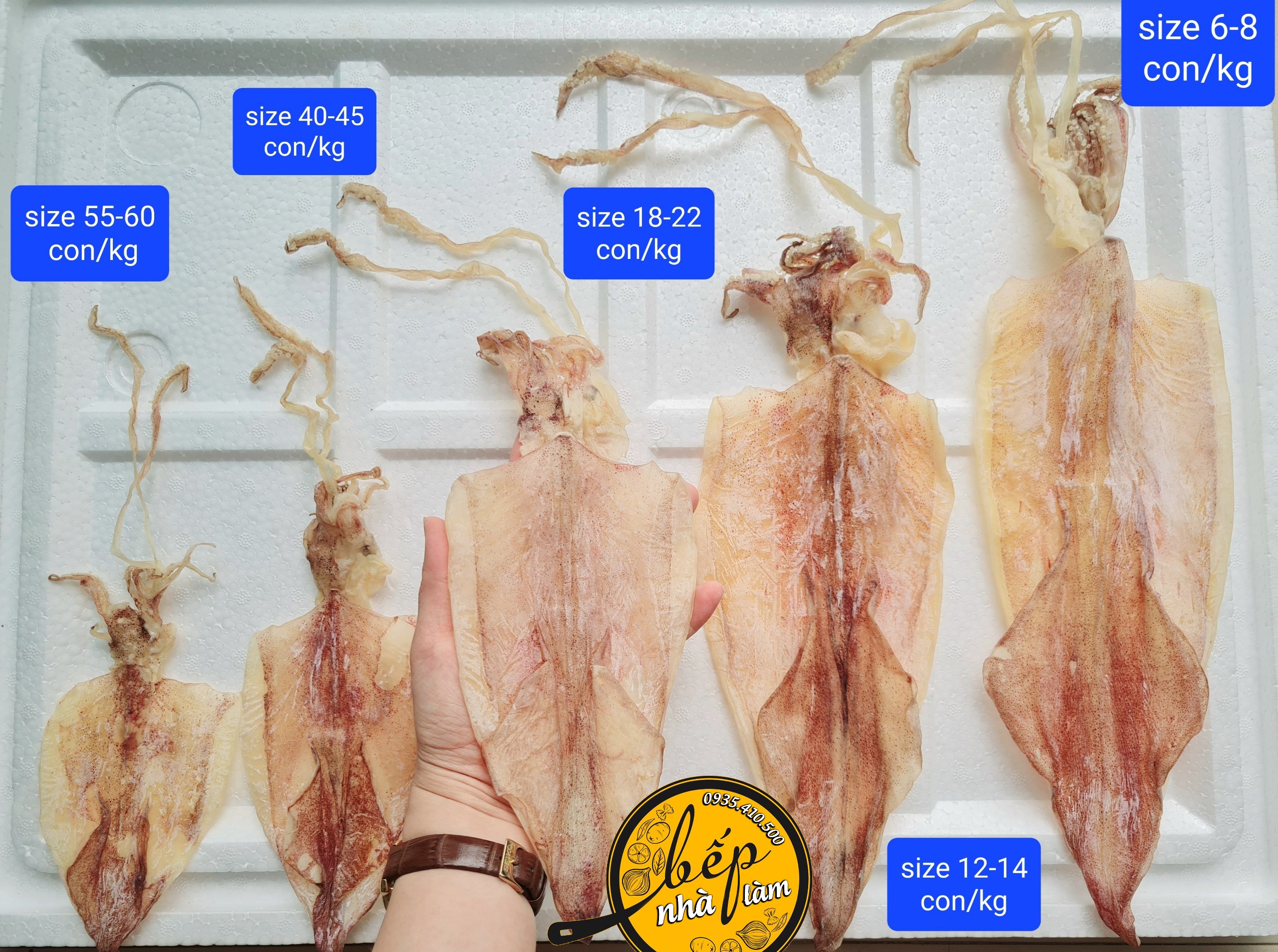 Mực khô chuẩn ghe câu hàng loại 55-60 con/kg, gói 500g hút chân không bao chất lượng