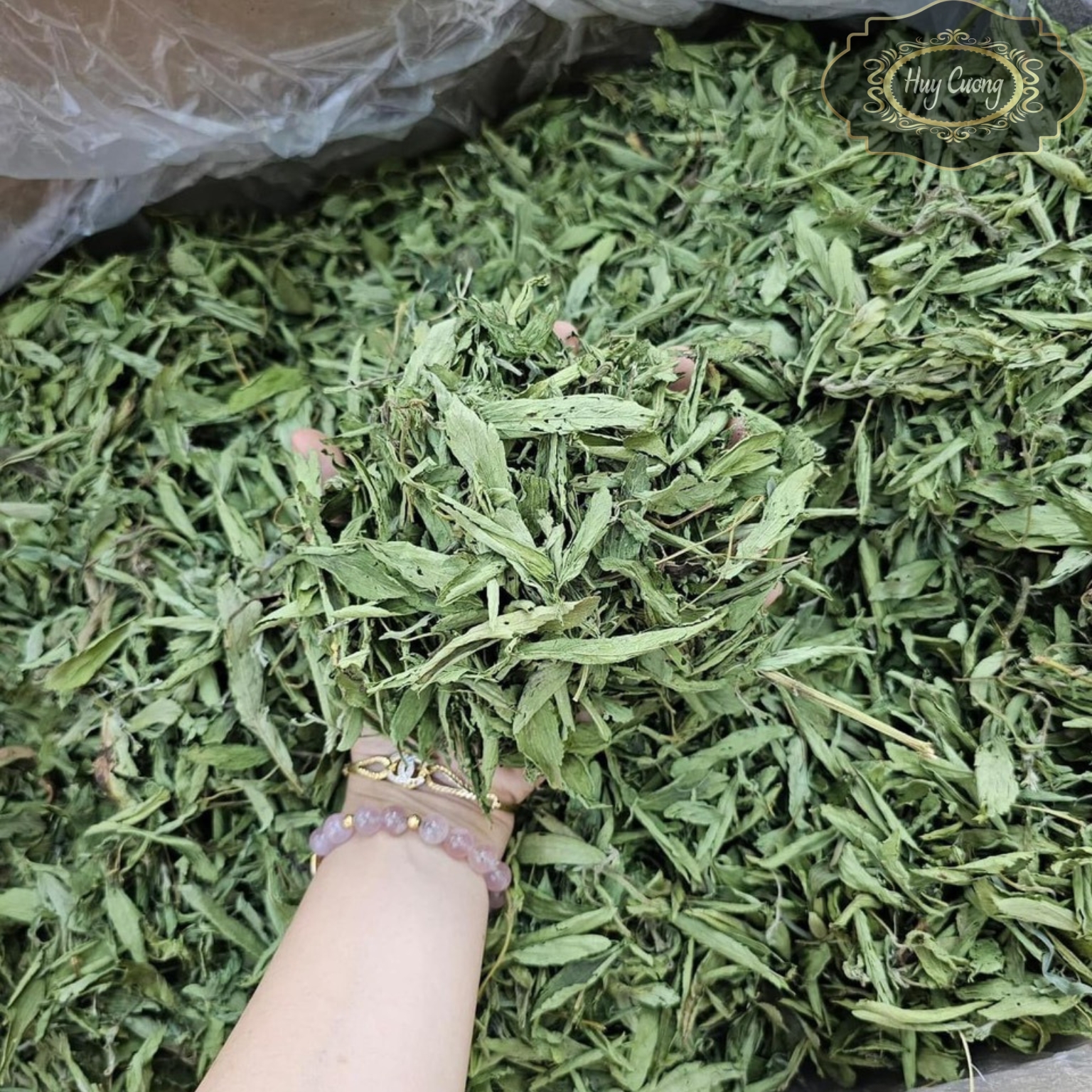 Cỏ ngọt khô loại 1 trồng sạch hữu cơ vùng núi Tây Bắc, cỏ ngọt nguyên lá sấy lạnh. Trà cỏ ngọt đường ăn kiêng tạo vị ngọt tự nhiên