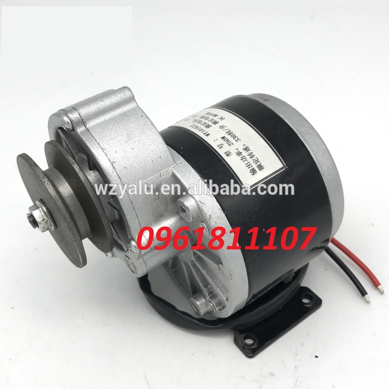 Motor giảm tốc 12v 24v 250w 350w puly, động cơ giảm tốc 12v đầu puly, motor giảm tốc 24v 250w, động cơ giảm tốc 24v 350w