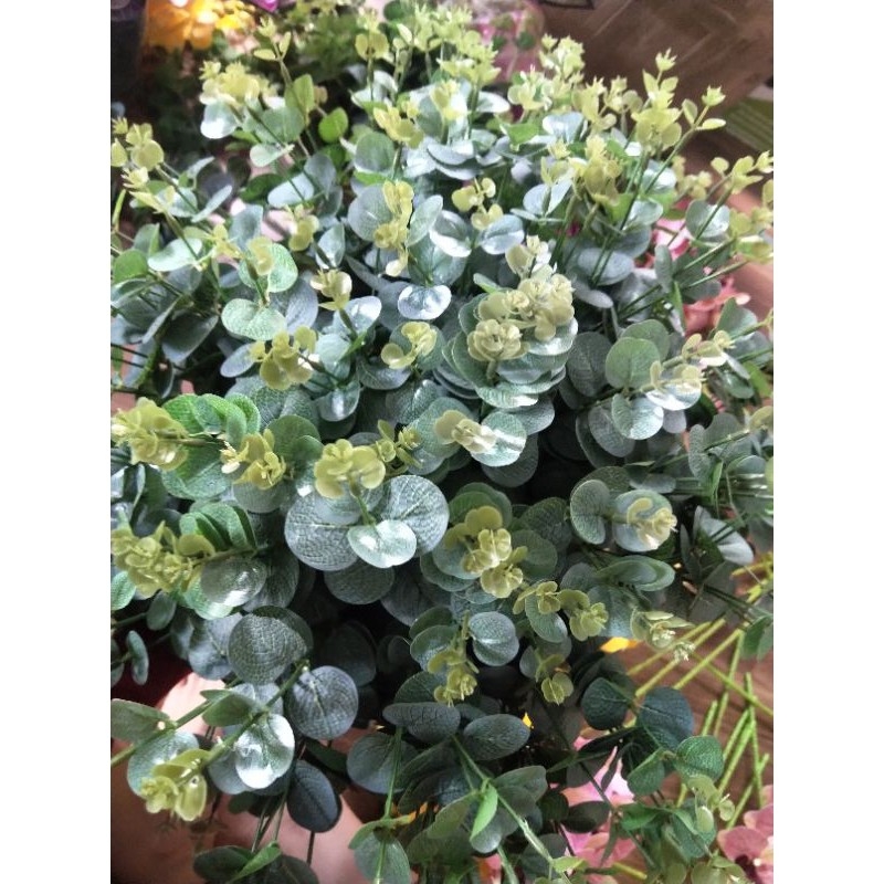 Lá táo 16 nhánh HÀNG LOẠI 1