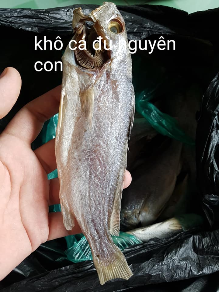 Khô cá lù đù mặn, ăn bắt cơm