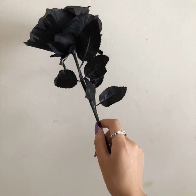 Với hình nền hoa hồng đen, bạn sẽ có thể tạo cho mình một không gian làm việc hoặc sống đầy sang trọng và tinh tế. Hãy cùng thưởng thức ảnh đẹp và lựa chọn cho mình một hình nền hoa hồng đen độc đáo nhé!
