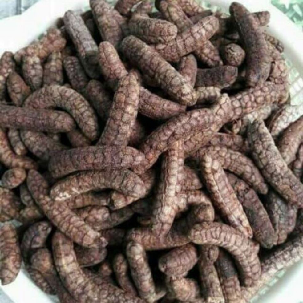 1kg Chuối hột rừng Tây Nguyên