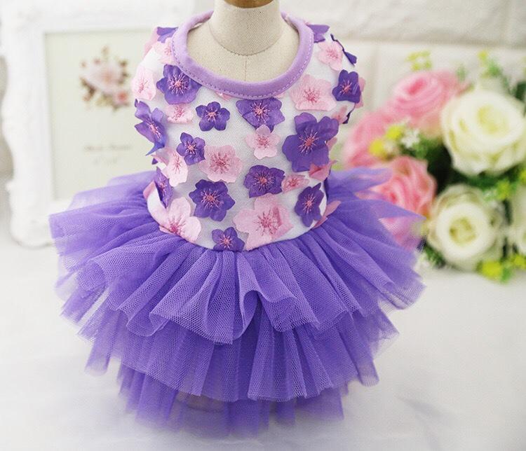 Đầm dạ hội cho thú cưng