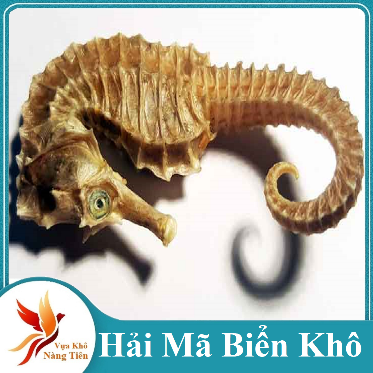 Cá ngựa khô thiên nhiên- vựa khô nàng tiên