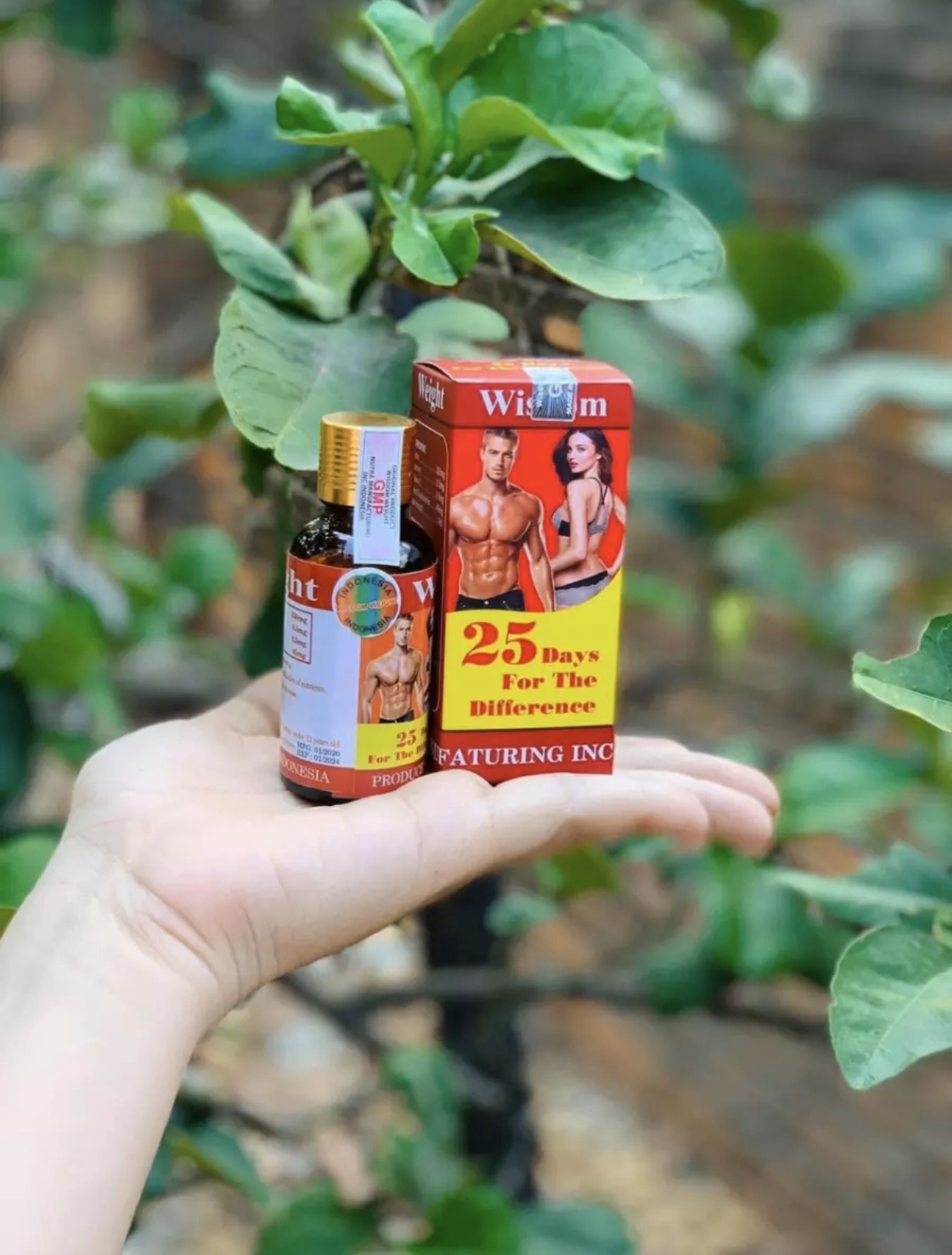 Tăng cân wisdom weight