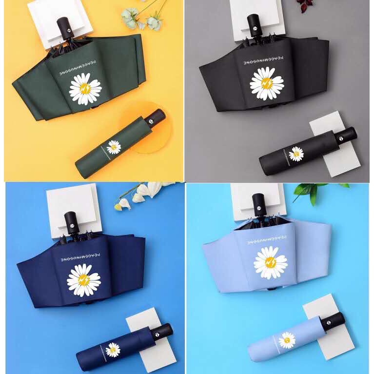 Dù (Ô) họa tiết hoa cúc chống tia UV l Dù (Ô) nữ hoa cúc l Dù (Ô) che mưa nắng