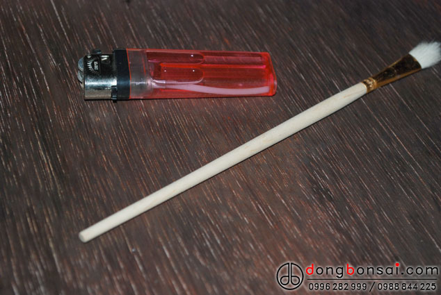 Set 2 Chổi bôi lũa hoặc bôi keo liền sẹo (Set 2 chiếc)