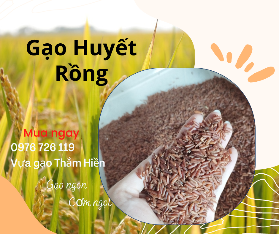 2kg gạo lứt huyết rồng - gạo hữu cơ cao cấp - gạo ăn kiêng - bena organic
