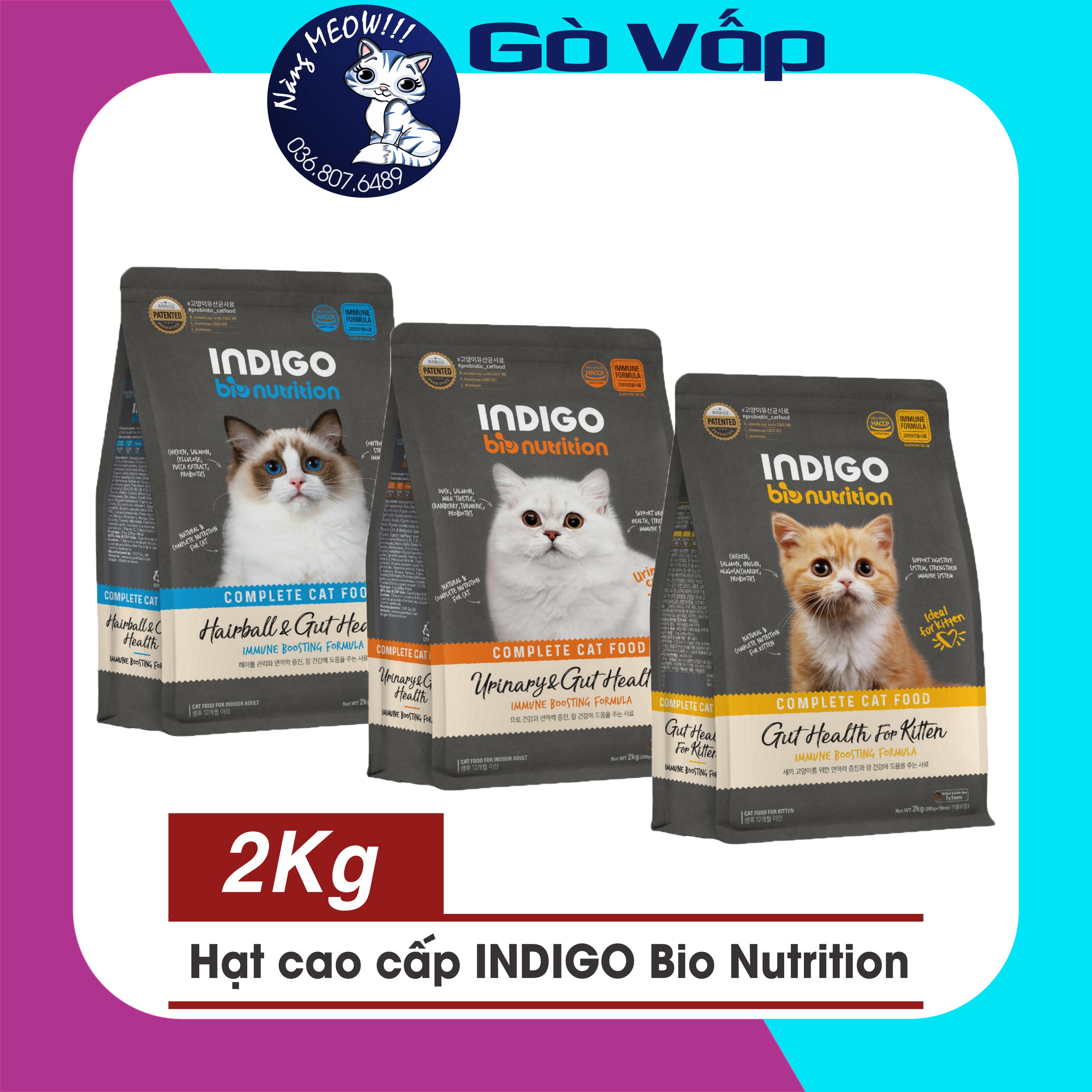 Hạt indigo - hạt dinh dưỡng cao cấp cho mèo