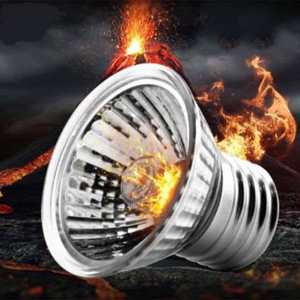 Đèn sưởi uva + uvb 3.0 cho bò sát nomoy pet