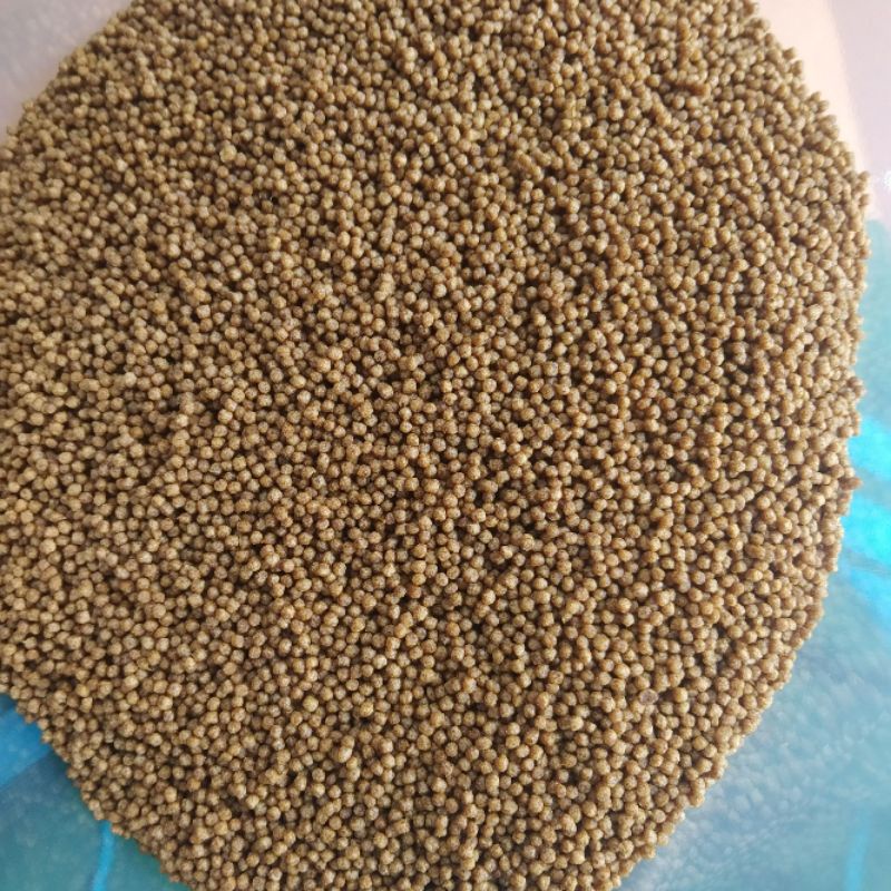 Cám cá micro 100 độ đạm cao cho cá kiếm, cá mún, cá koi giống, cá vàng
